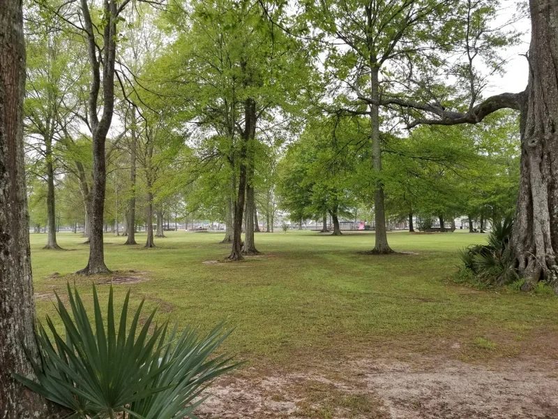 Sidney Hutchison Park