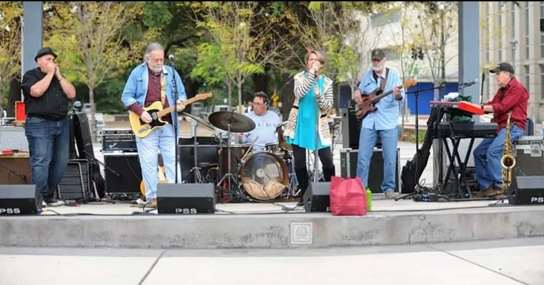 Delta Drifters Blues Band 